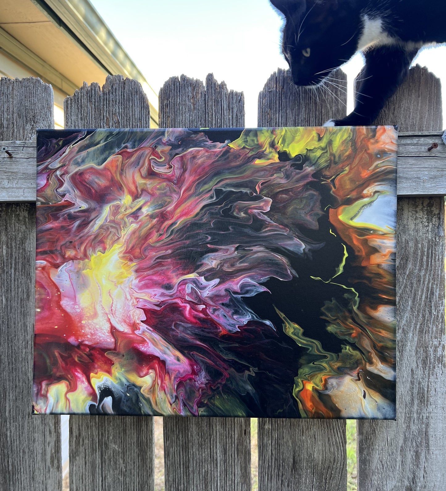 Pour Paint Abstract Canvas 231011