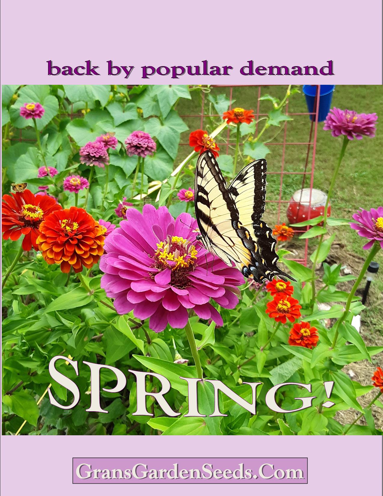 Butterfly Garden Mixed Flower and Herb Seeds