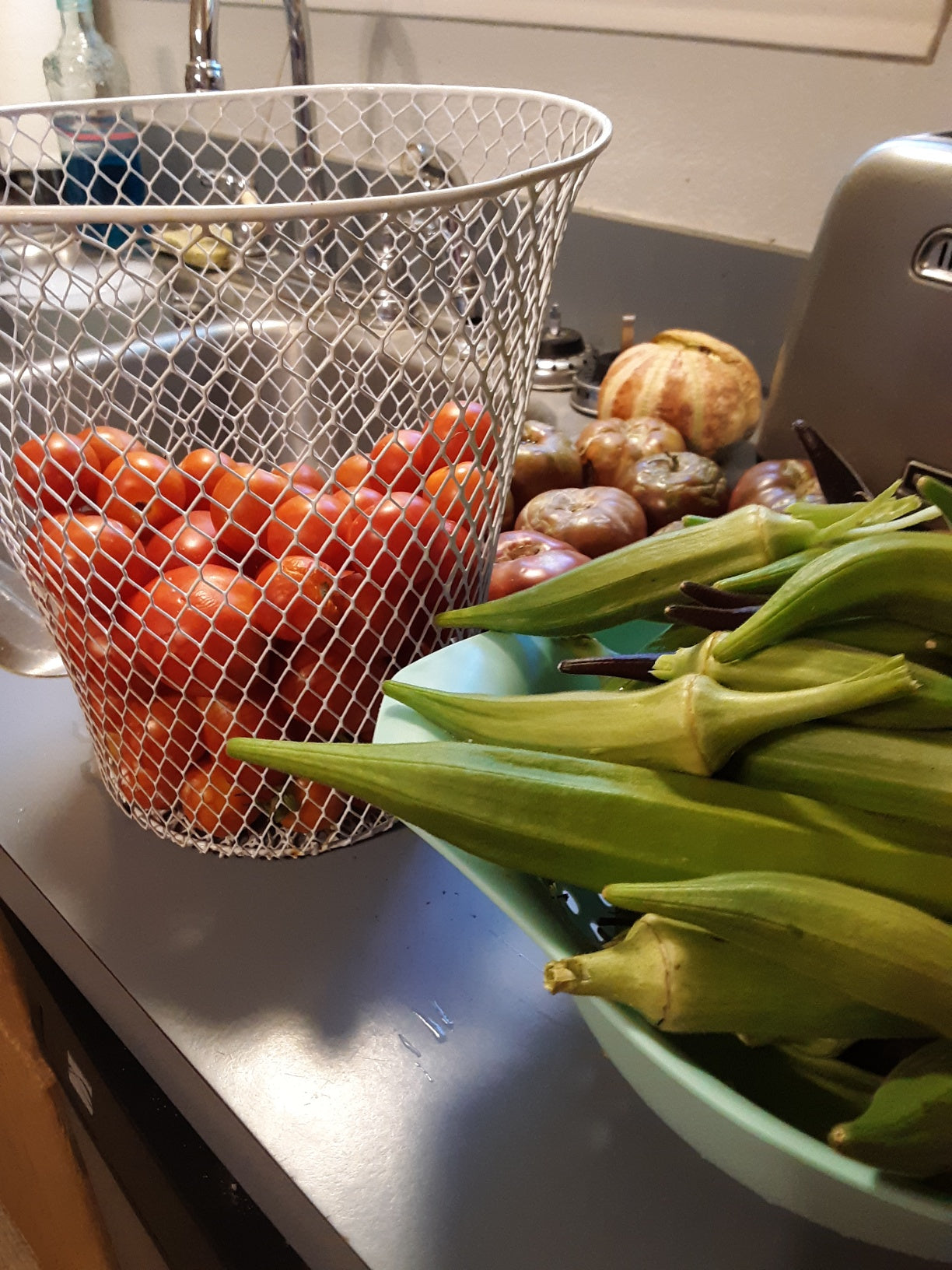 Okra Seeds, Clemson Heirloom