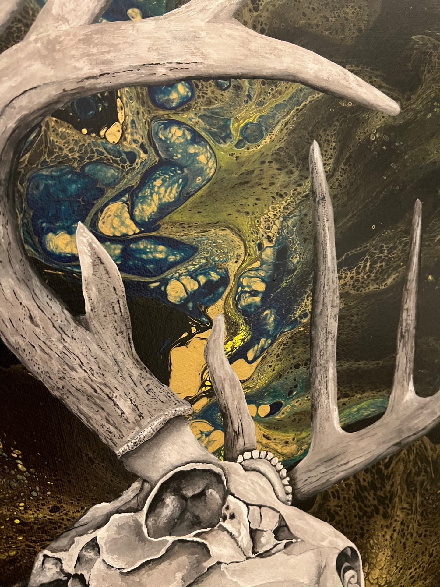 Deer Skull Painting, special order