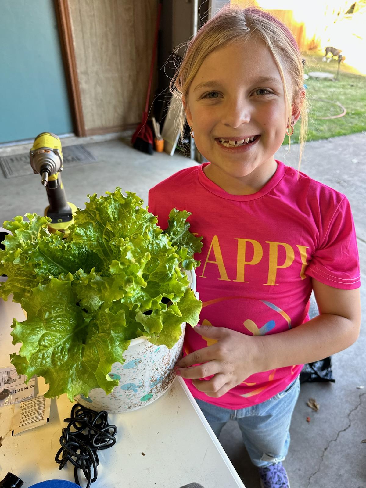Lettuce Variety Mixed Seeds