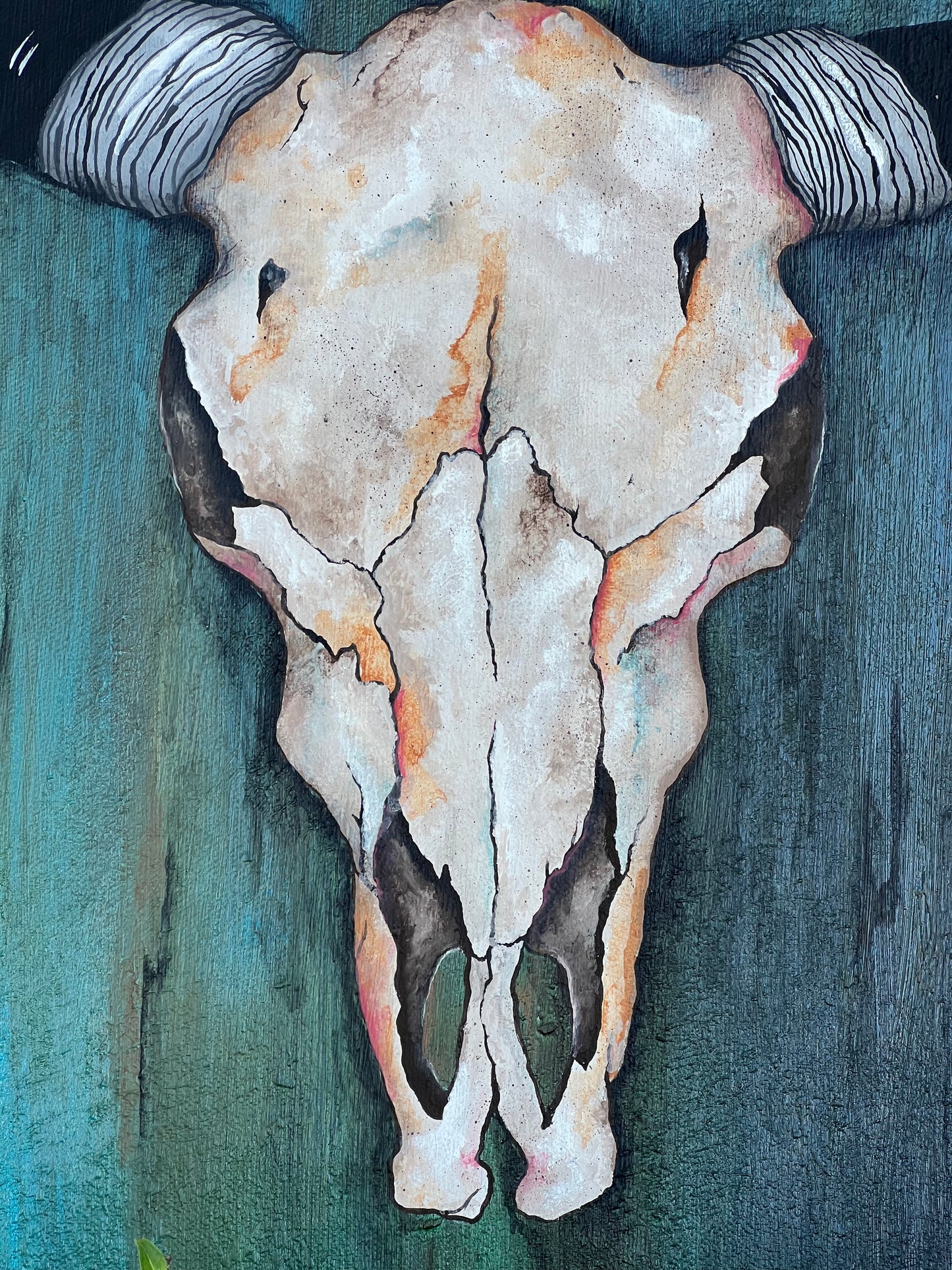 Longhorn Skull Painting