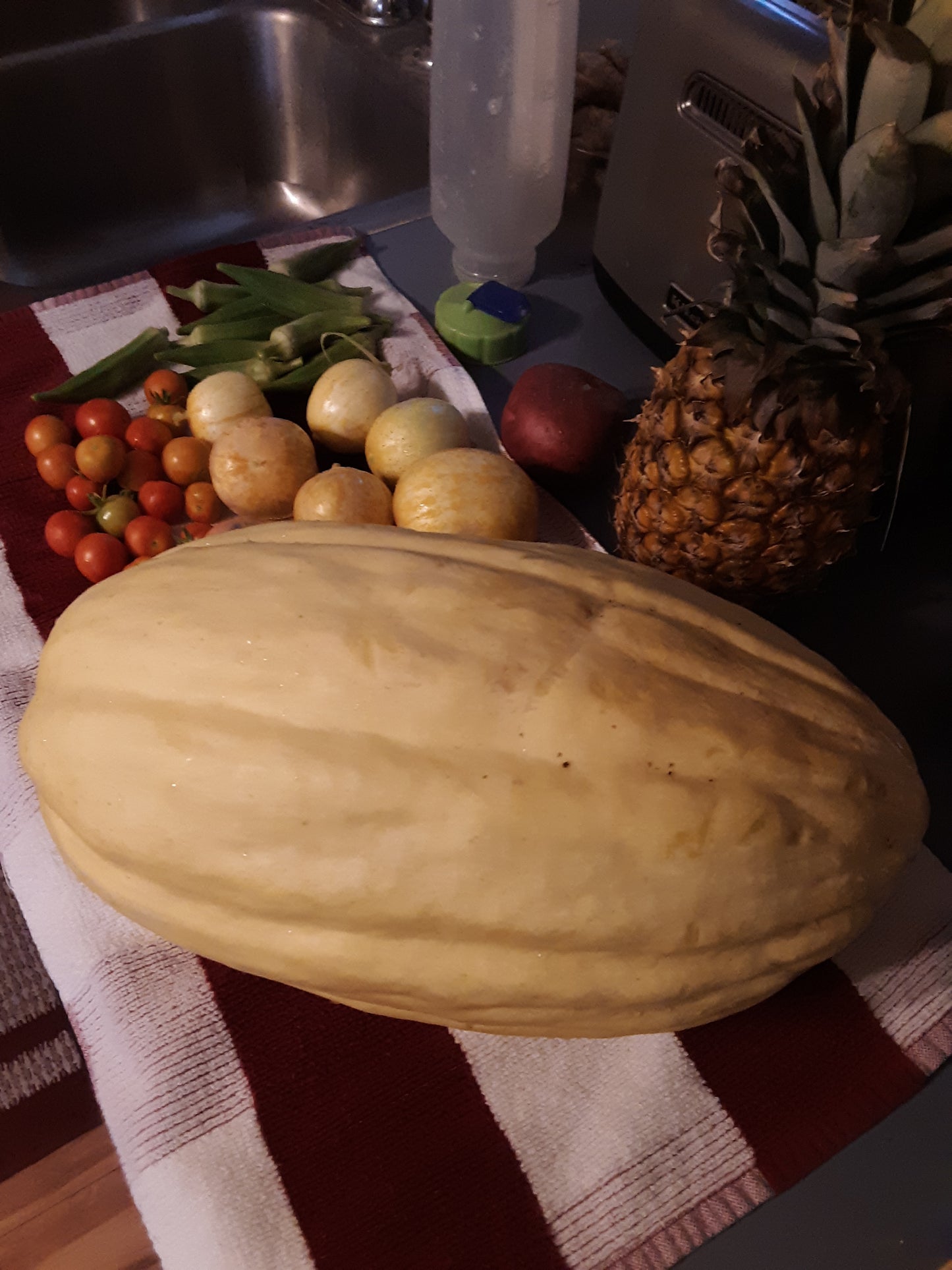 Melon, Banana Melon Seeds, Seriously Good Tasting Melon