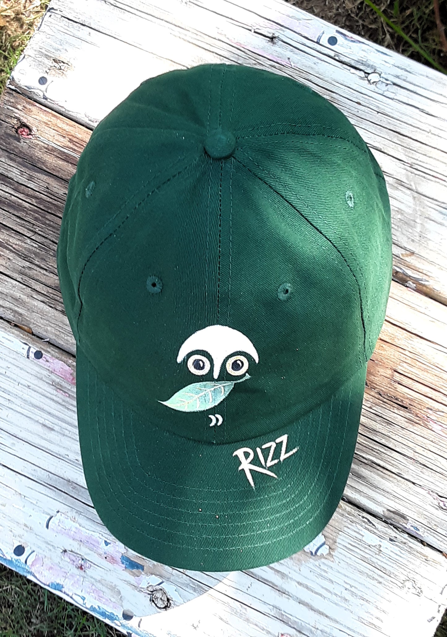 Owl Rizz Baseball Cap