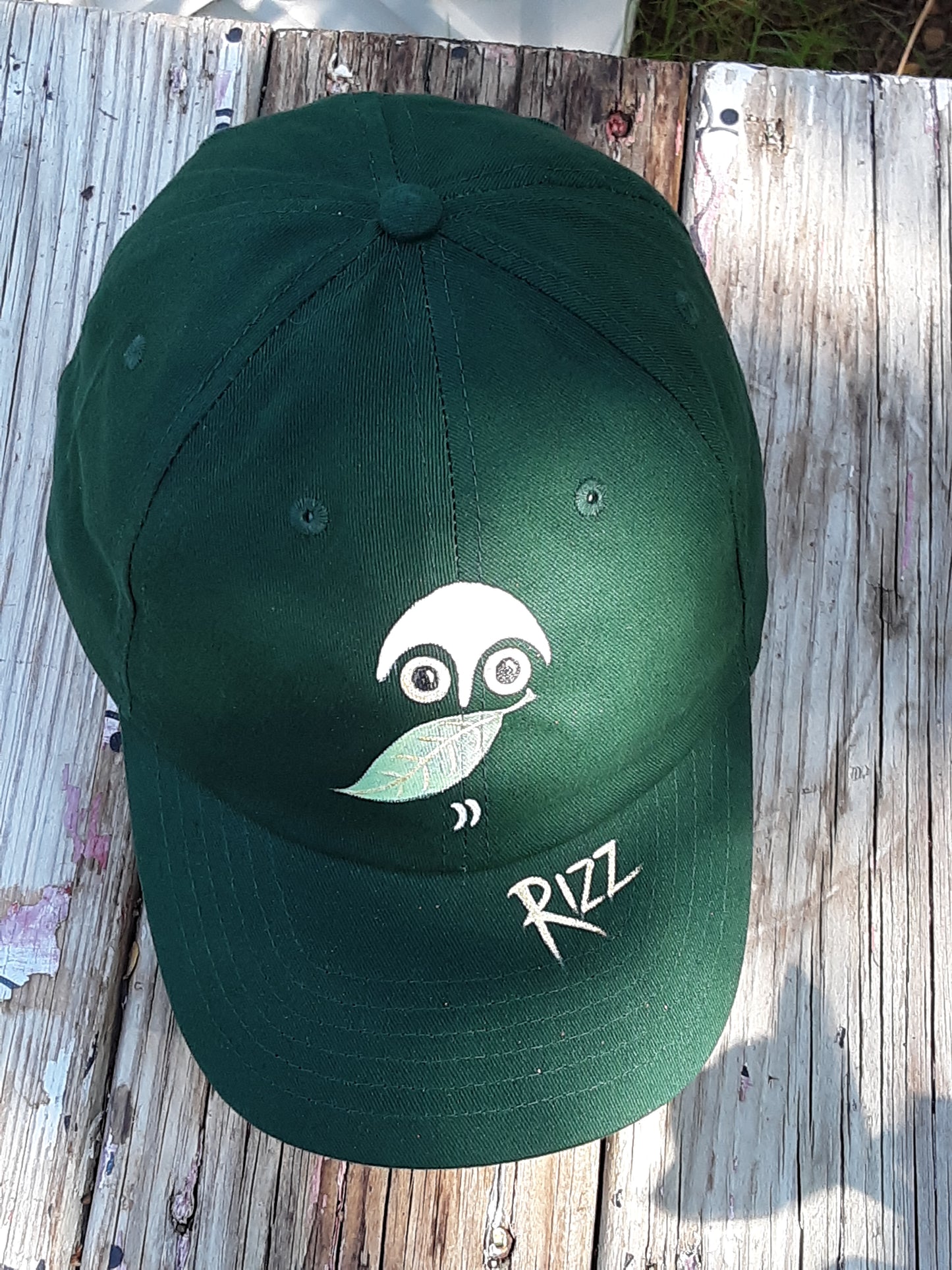 Owl Rizz Baseball Cap