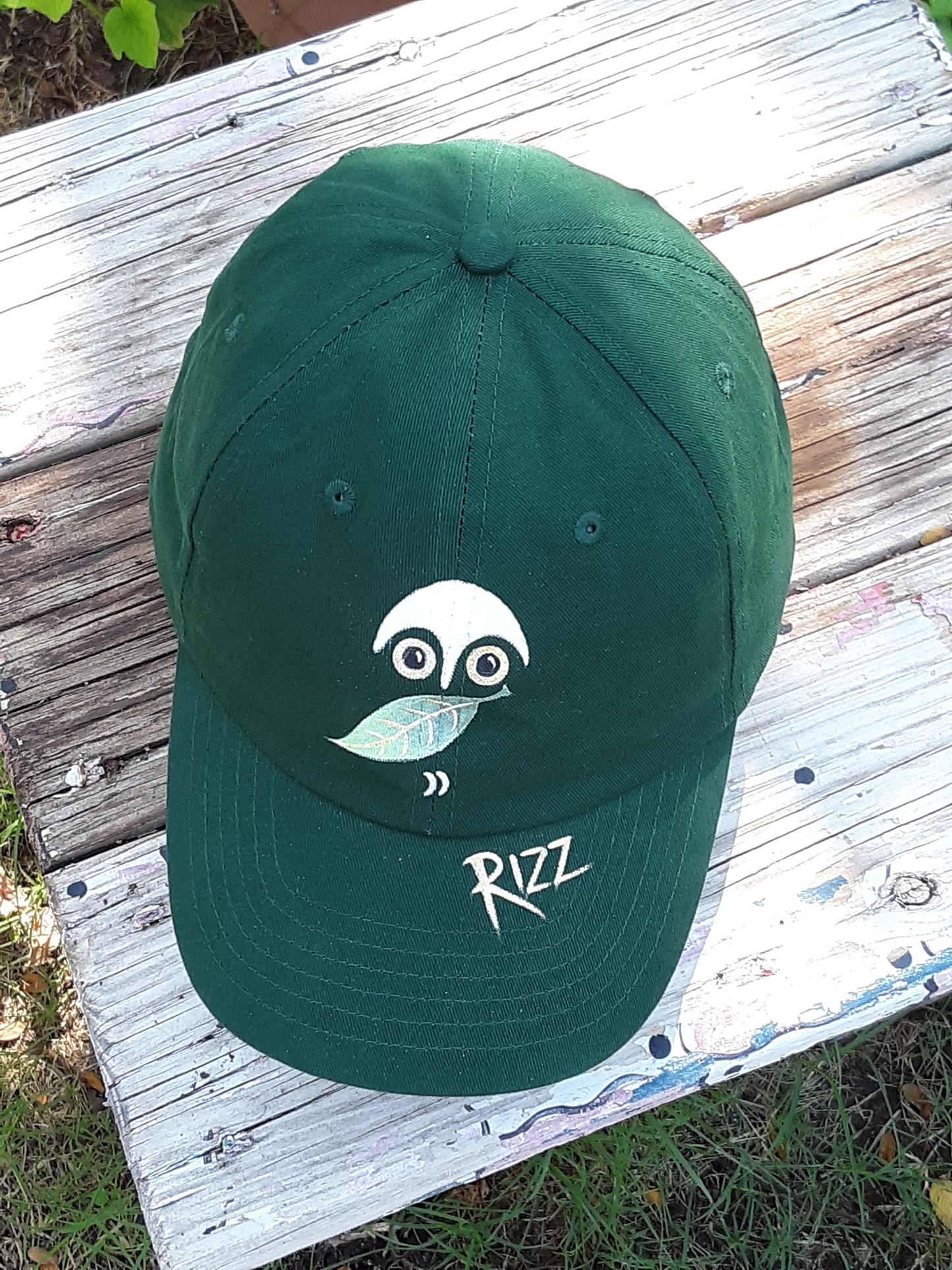 Owl Rizz Baseball Cap