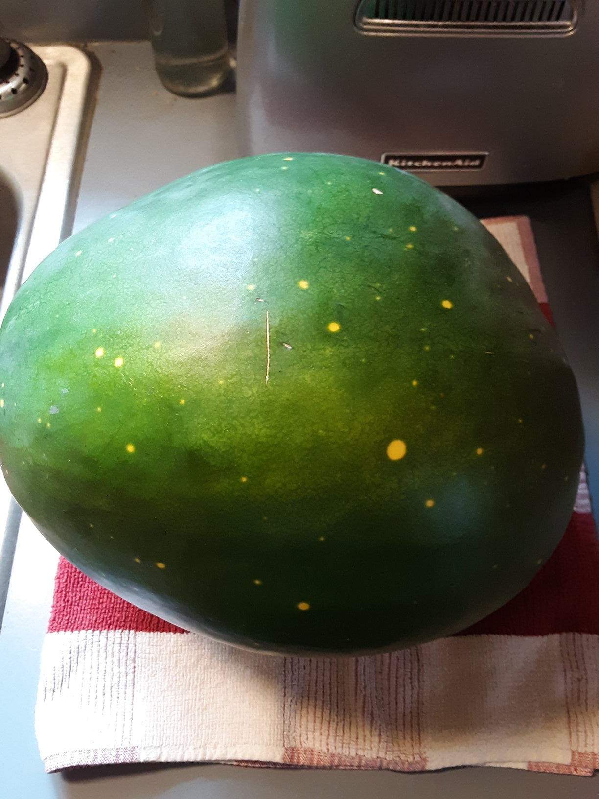 Watermelon, Moon and Stars Heirloom Watermelon