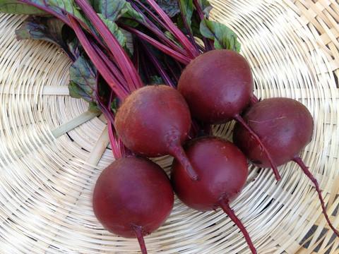Beet Seeds, Organic Detroit Dark Red Beet
