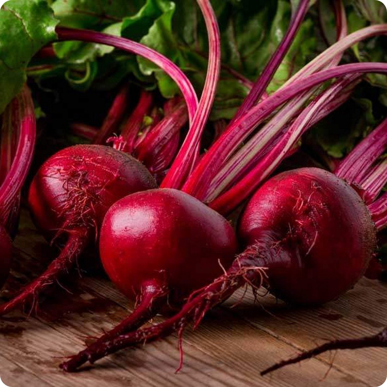 Beet Seeds, Organic Detroit Dark Red Beet