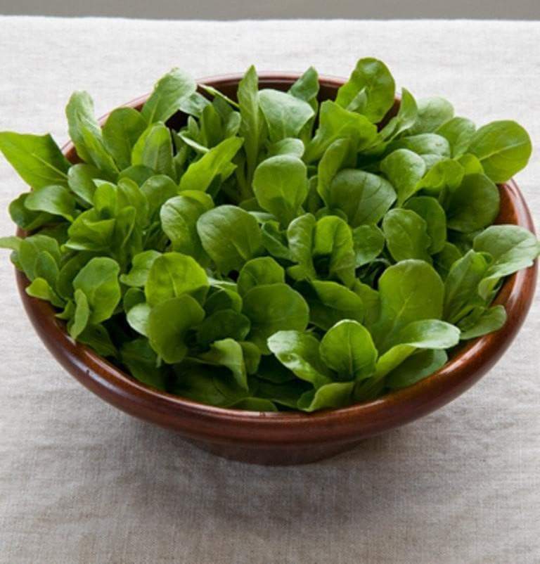 Corn Salad Herb Seeds