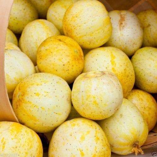 Cucumber, Heirloom Lemon Cucumber Seeds