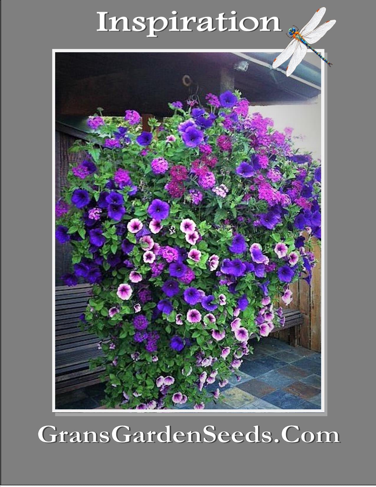 Petunia Hybrida Mixed Seeds