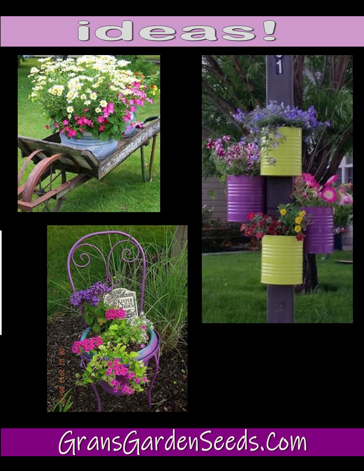 Pansy Beaconsfield Seeds