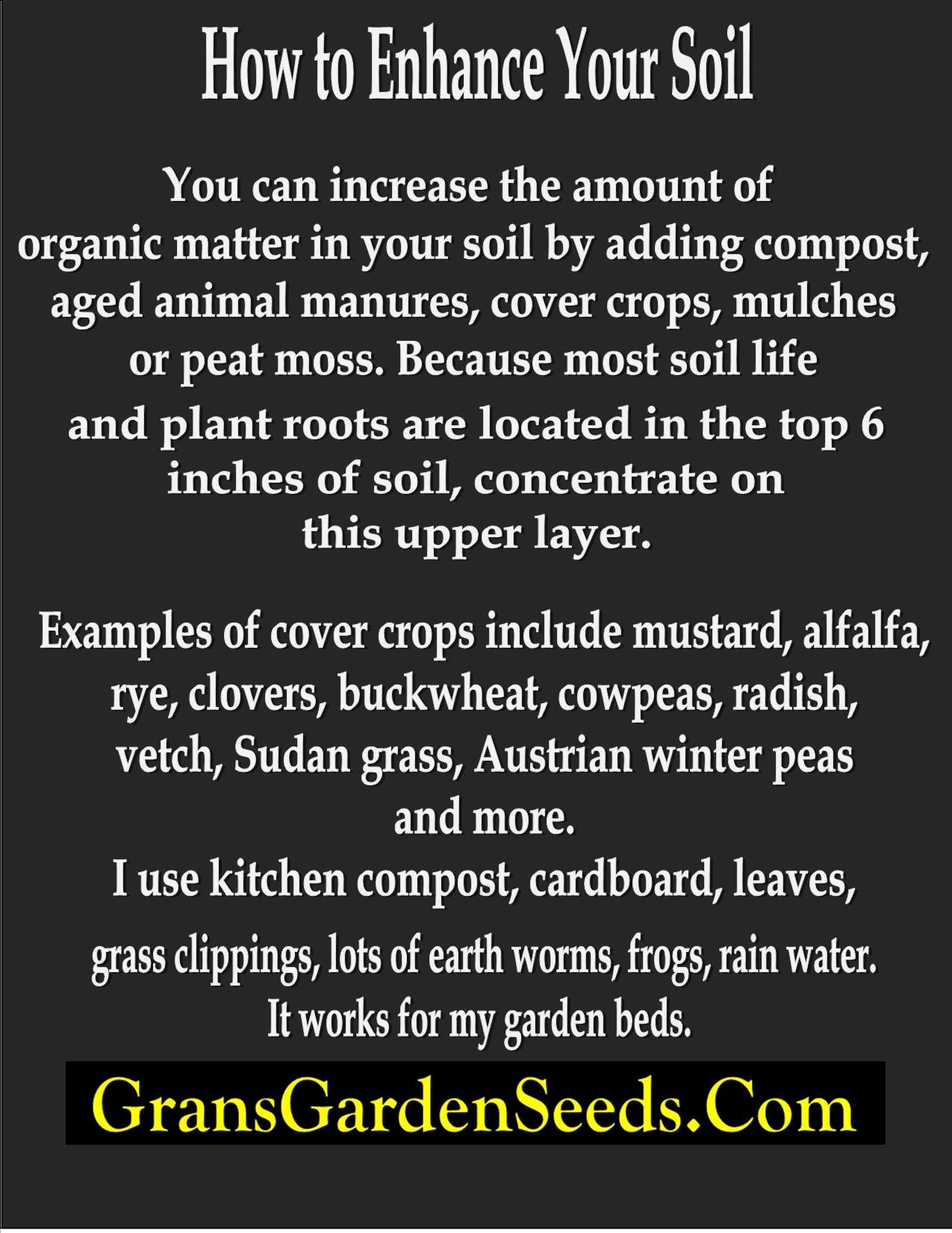 Cabbage Red Kalibos Seeds
