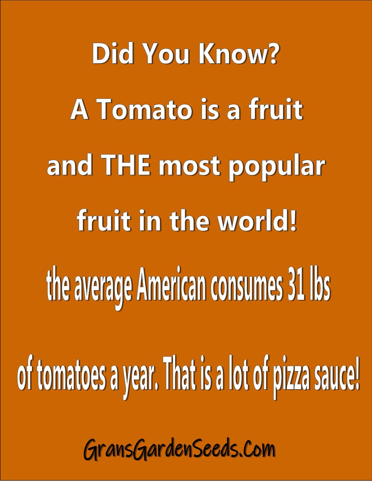 Tomato Seeds, Mortgage Lifter Heirloom Tomato