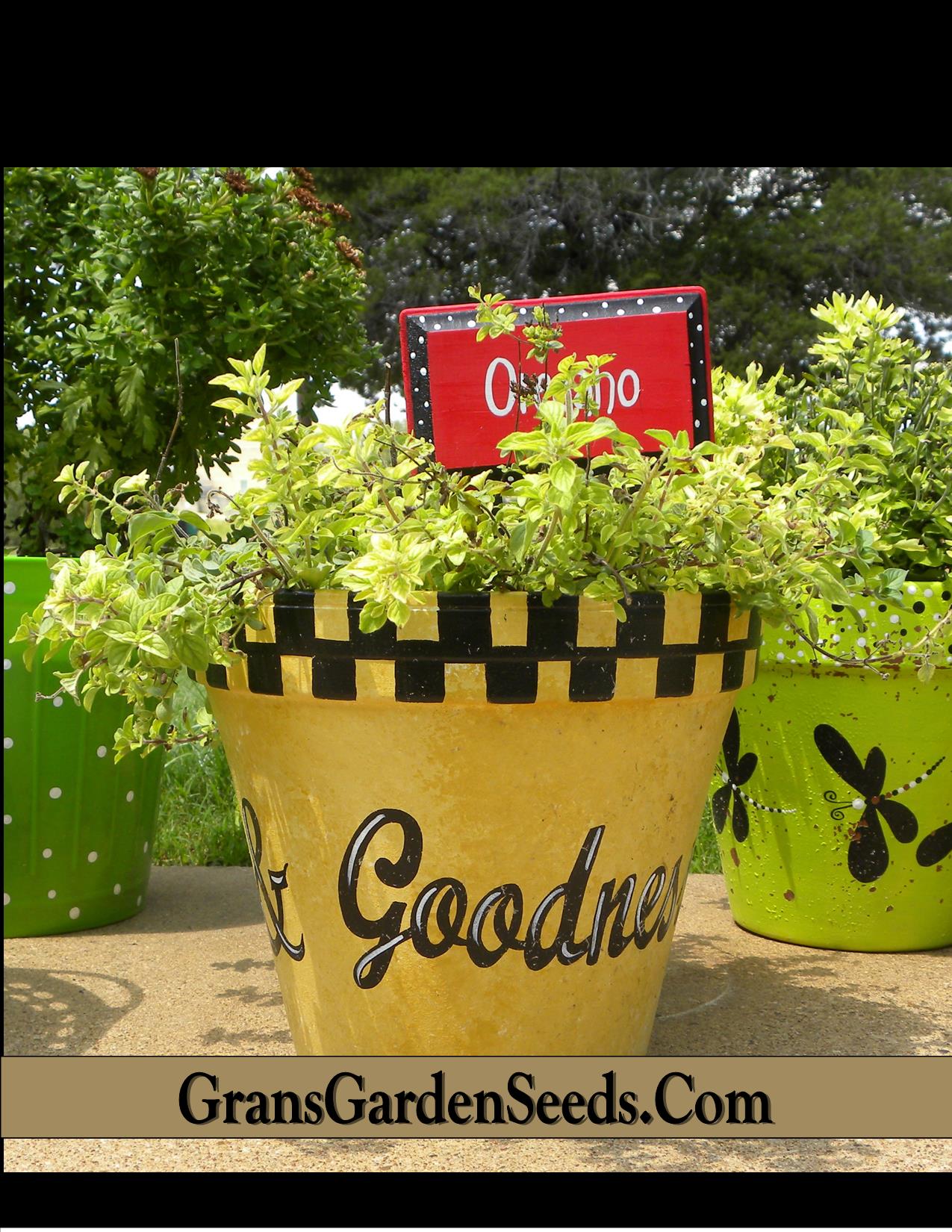 Lady's Mantle Herb Seeds