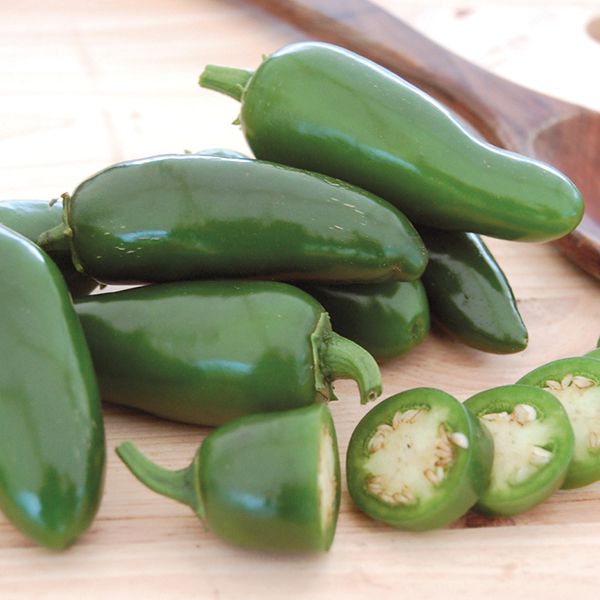 Pepper, Jalapeno Chili Pepper Seeds