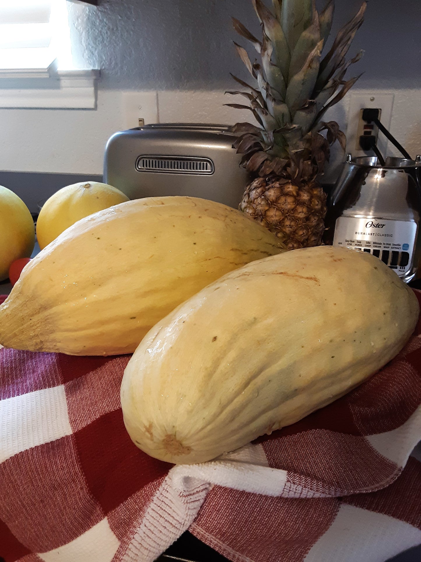 Melon, Banana Melon Seeds, Seriously Good Tasting Melon