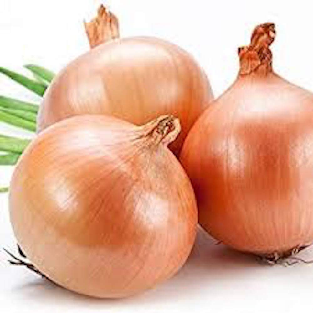 Onion, Heirloom Texas Early Grano Onion Seeds