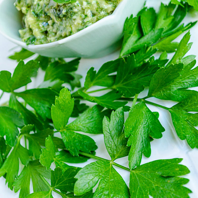 Parsley Seeds, Heirloom Italian Parsley