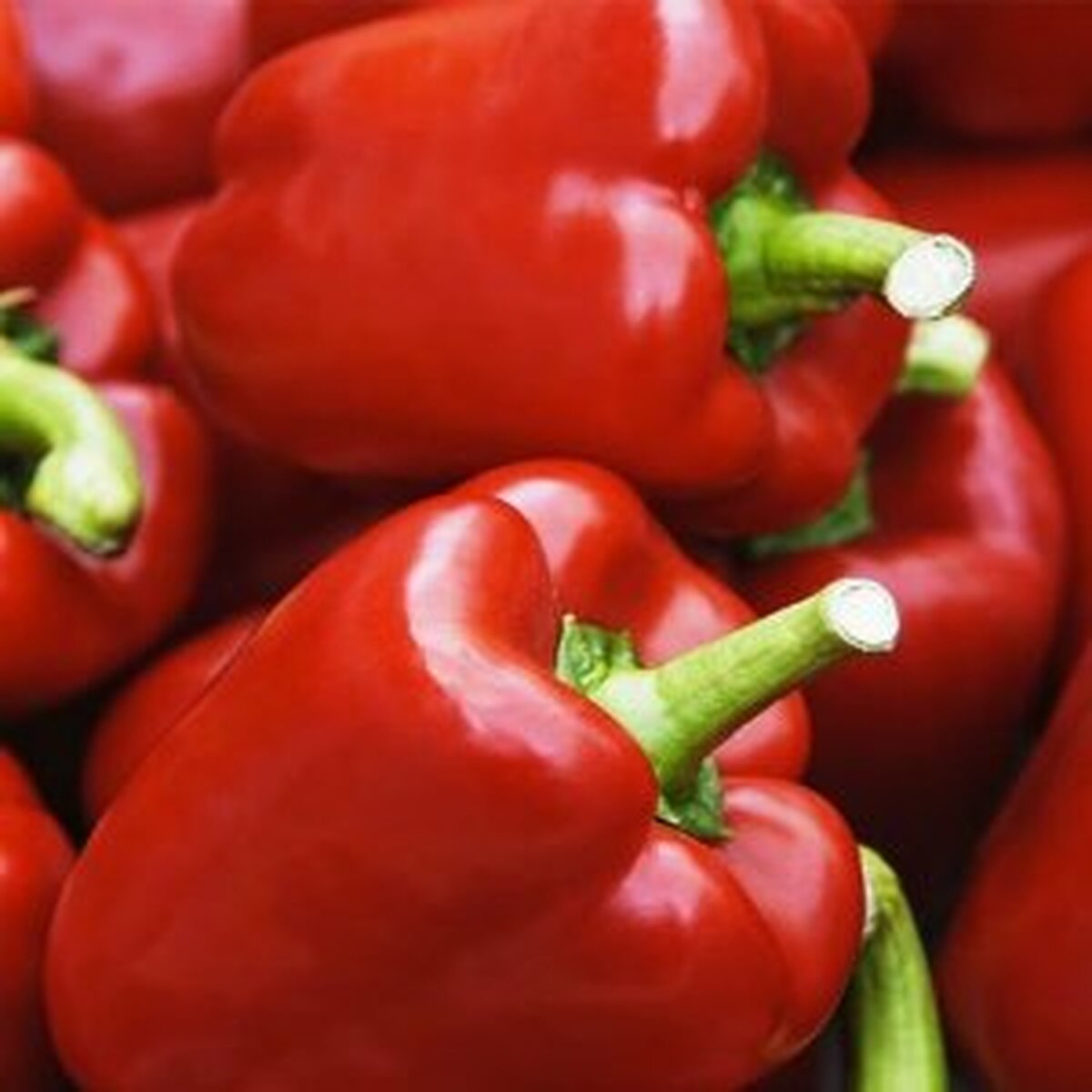 Pepper, King of the North Sweet Pepper Seeds