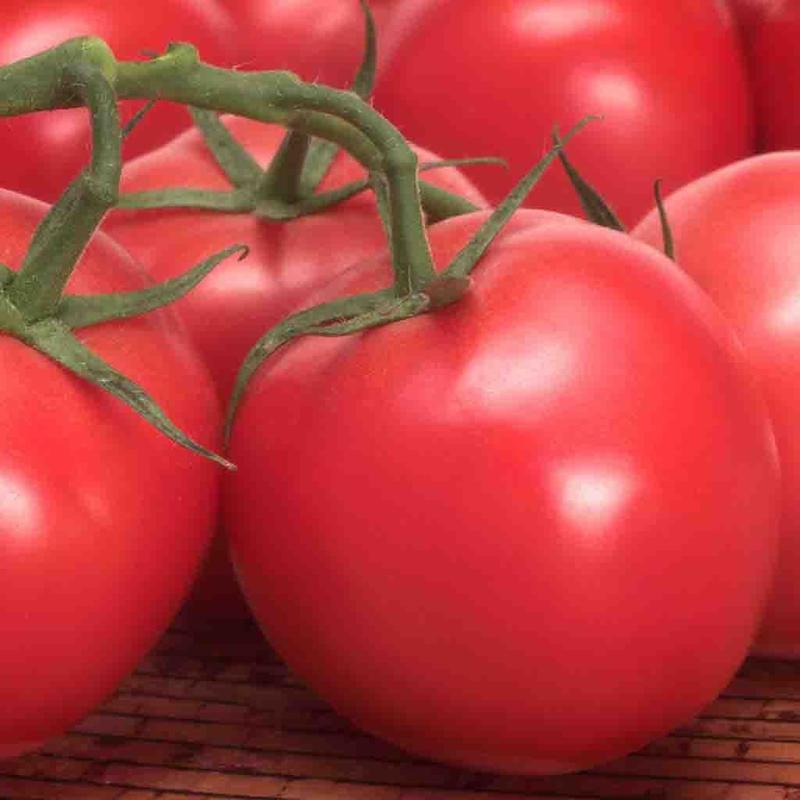 Tomato Seeds, Box Car Willie Heirloom Tomato