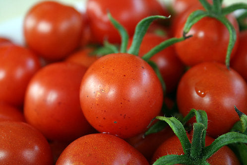 New Gardener Vegetable Starter Kit