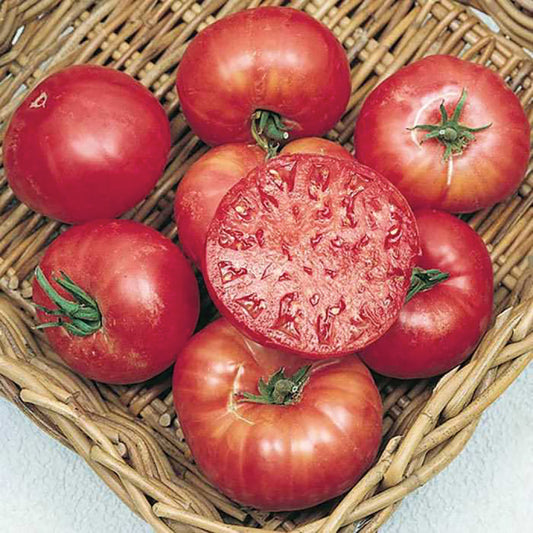 Tomato Seeds, Mortgage Lifter Heirloom Tomato