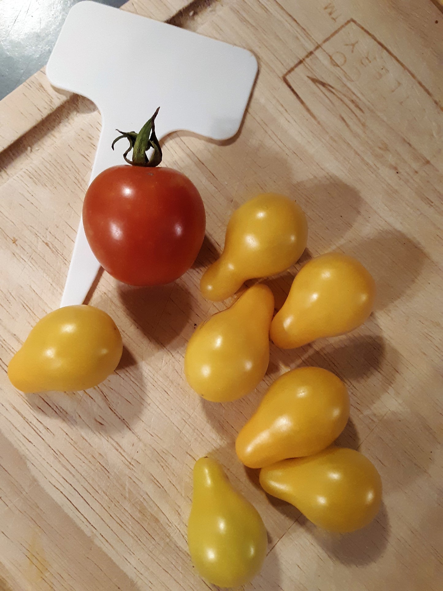Tomato Seeds, Heirloom Yellow Pear Tomato