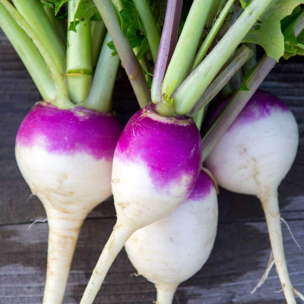 Turnip, Organic Heirloom Purple Top Turnip Seeds