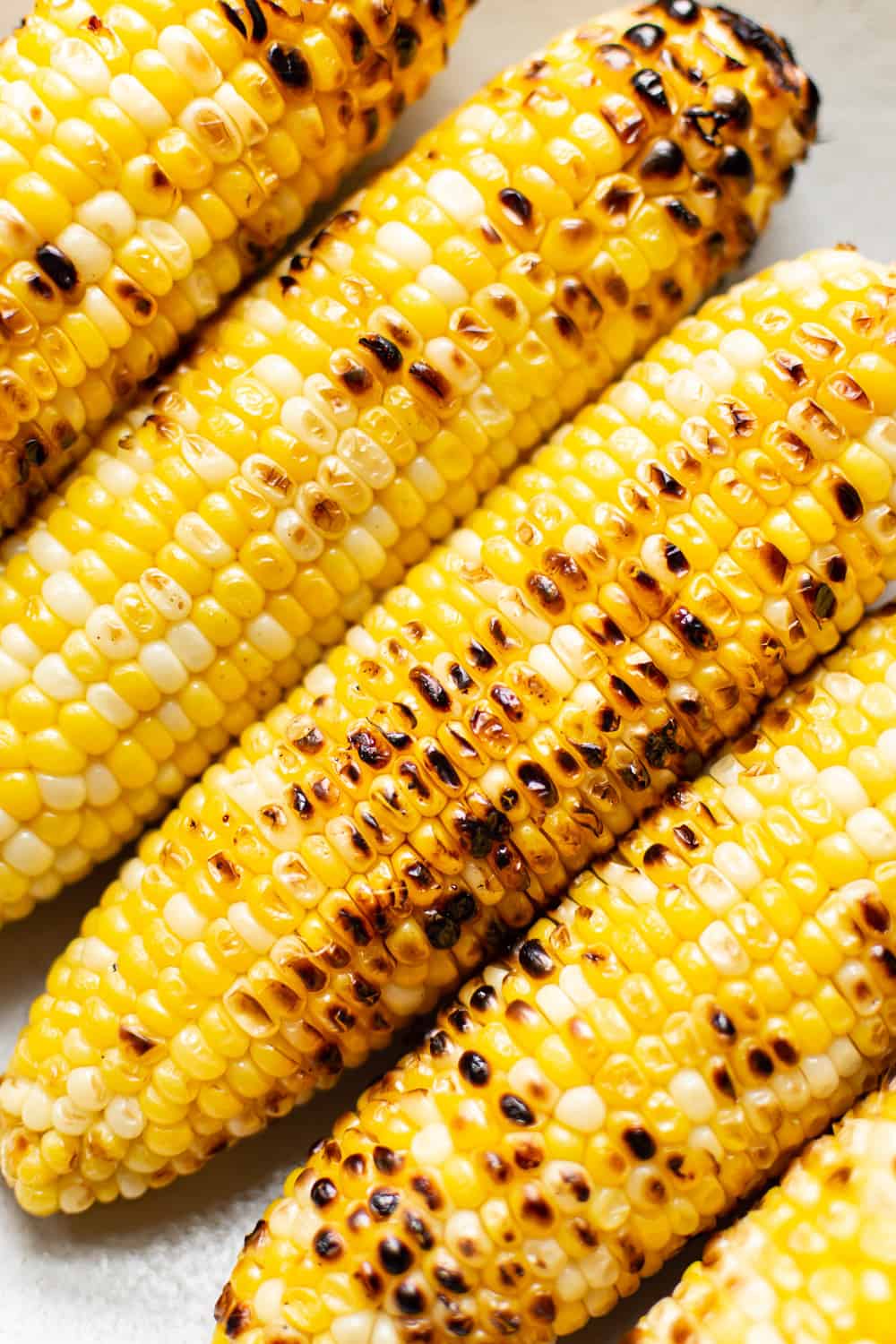 Corn Seeds, Golden Bantam Organic Corn