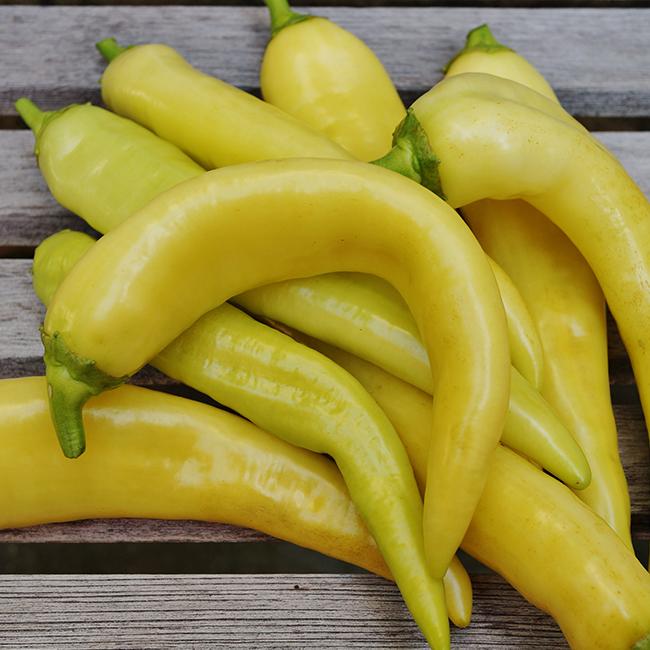 Pepper, Sweet Banana Pepper Seeds
