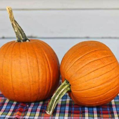 Pumpkin, Sugar Pumpkin Seeds