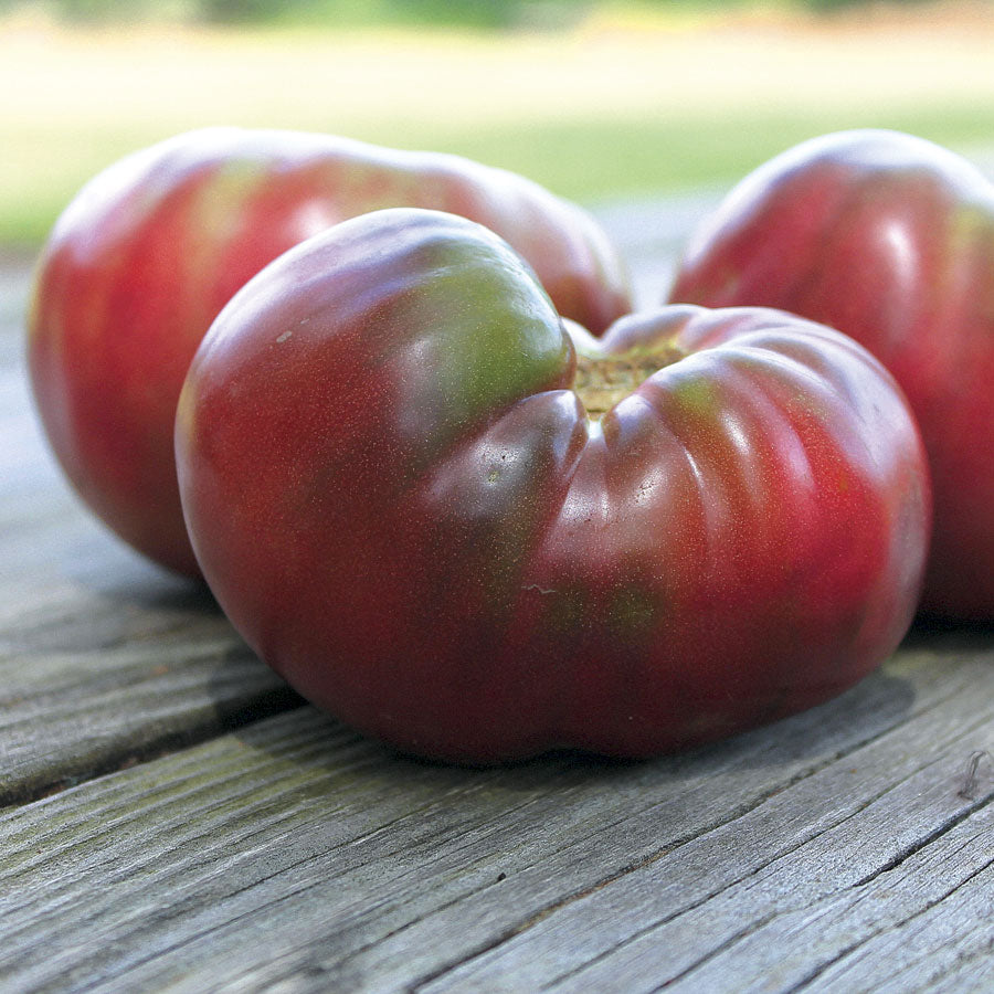 Tomato Seeds, Heirloom Cherokee Purple Tomato