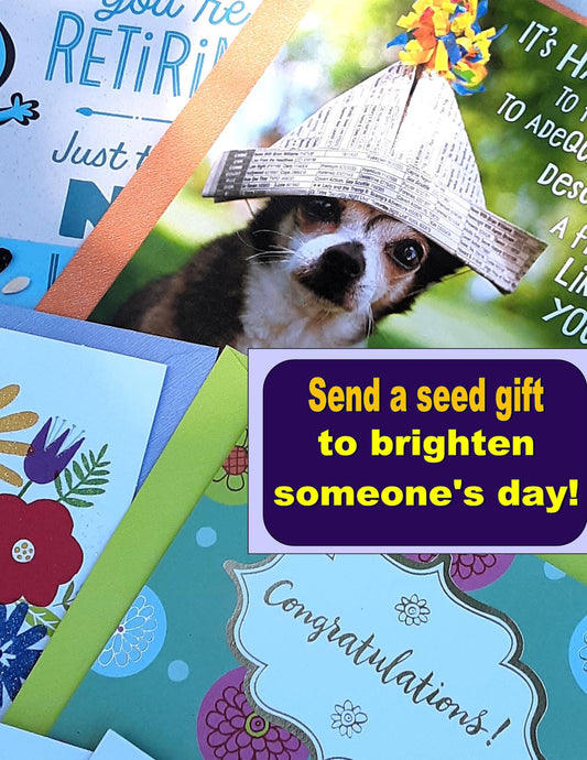 A Seed Gift With Greeting Card