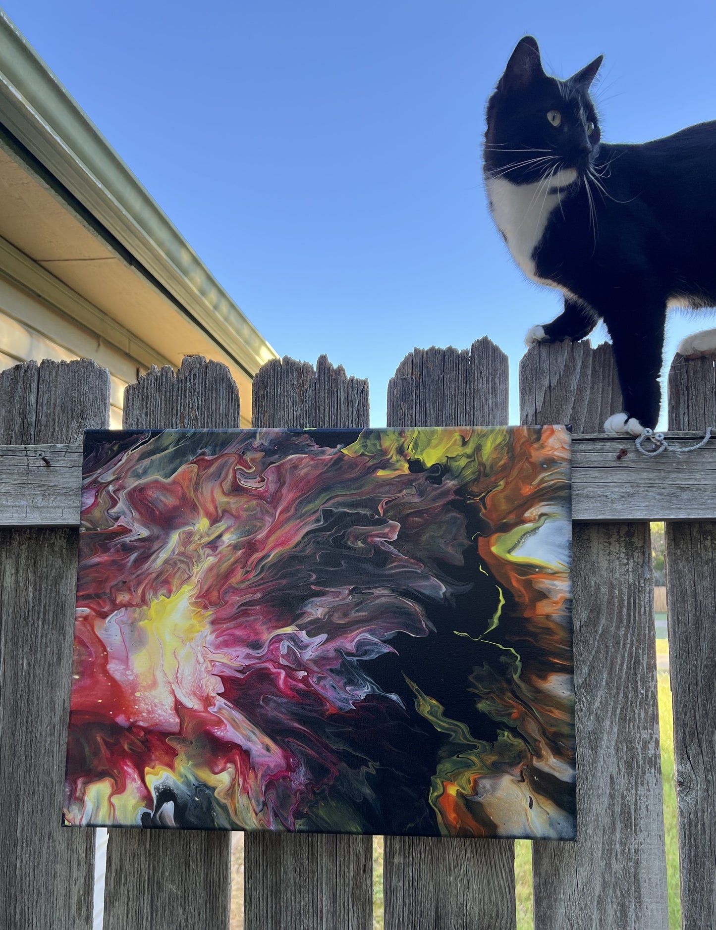 Pour Paint Abstract Canvas 231011