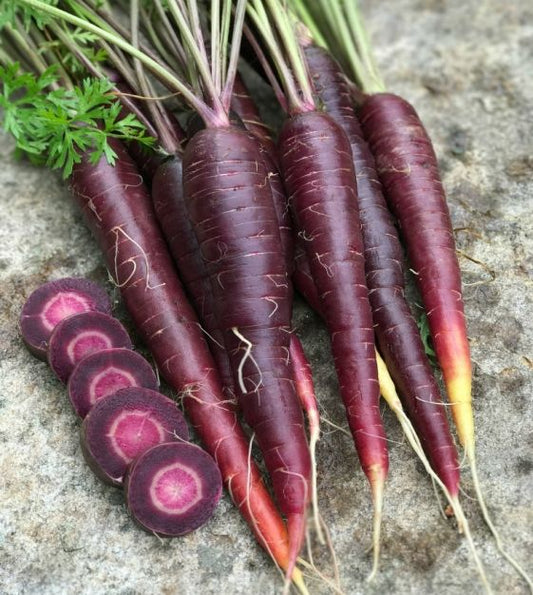 Carrot Seeds, Purple Sun