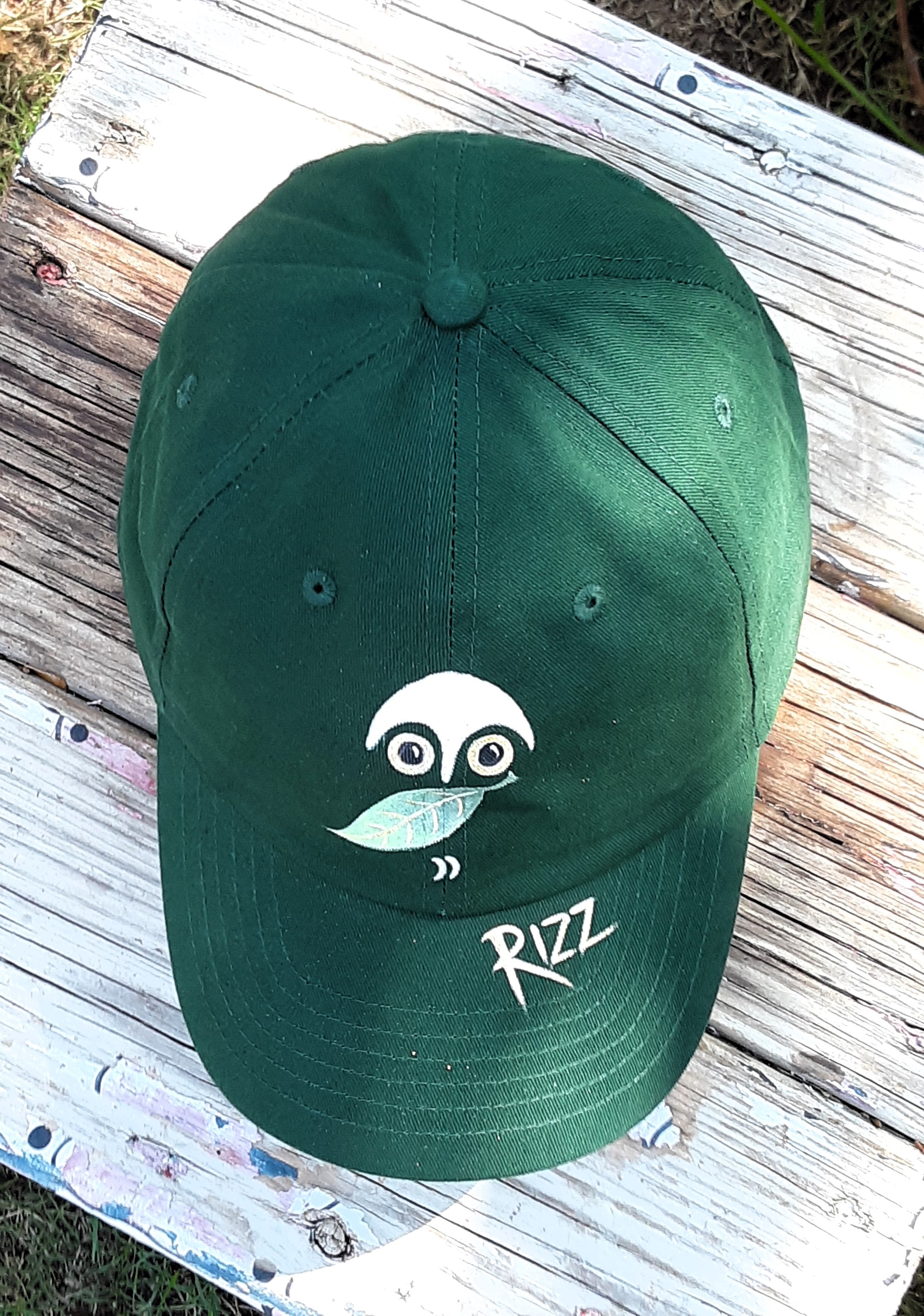 Owl Rizz Baseball Cap – Gran's Garden Seeds