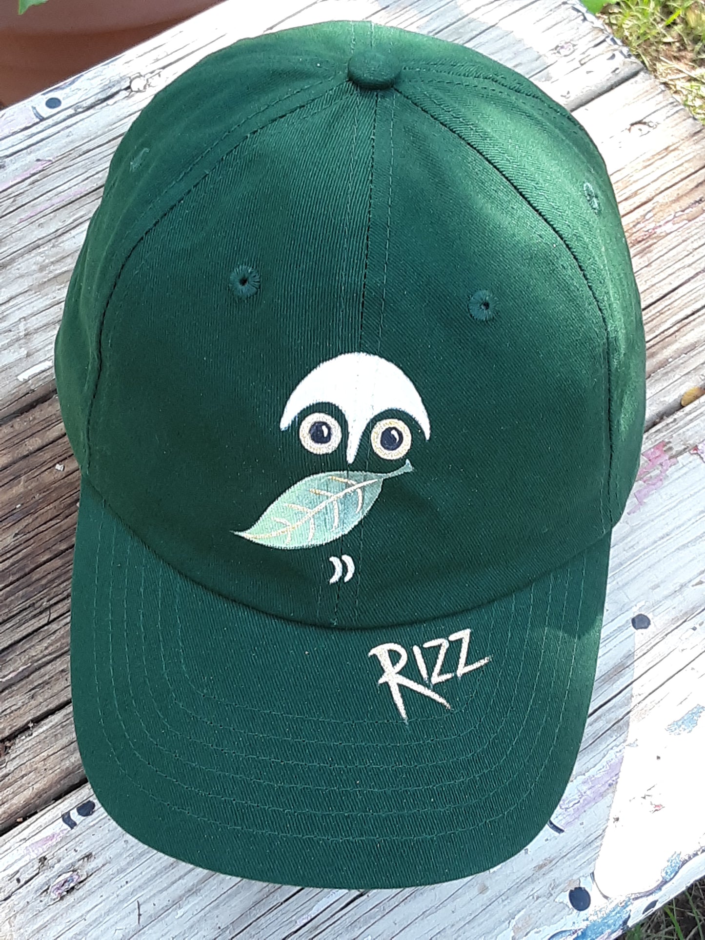 Owl Rizz Baseball Cap