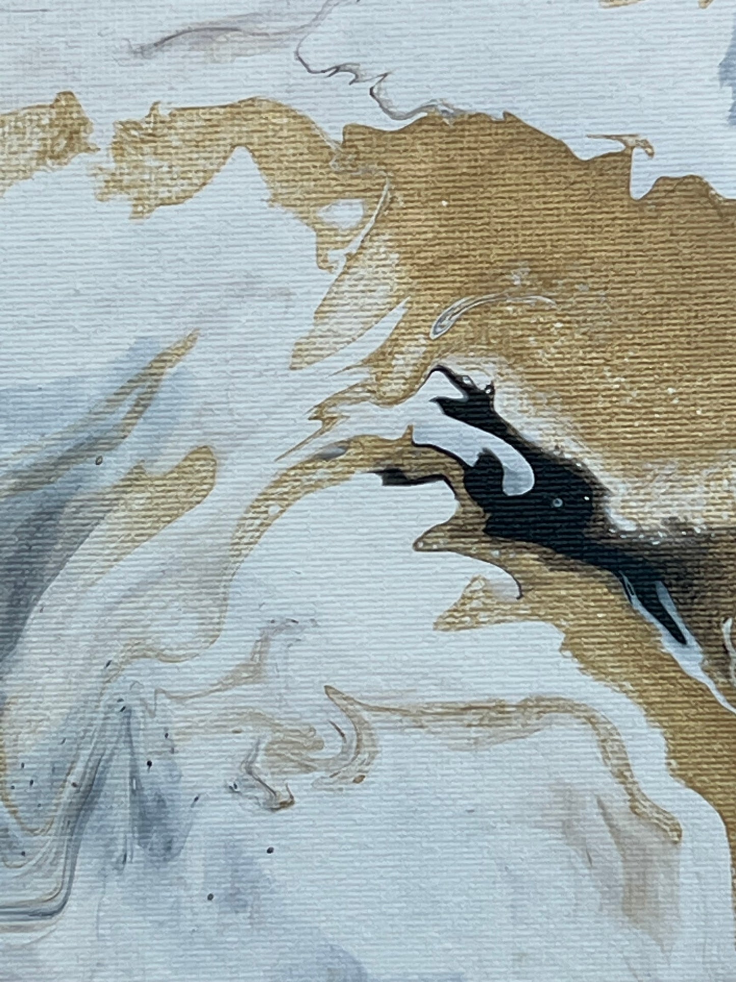 Pour Paint Abstract Canvas 231012