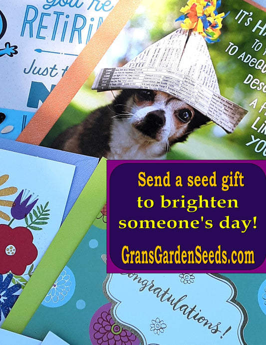 A Seed Gift With Greeting Card