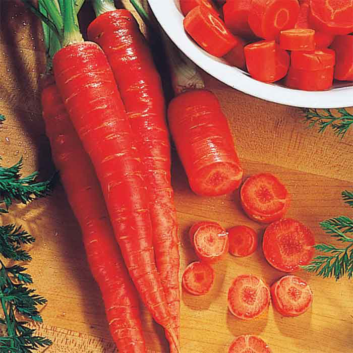 Carrot Seeds, Atomic Red Carrot Seeds