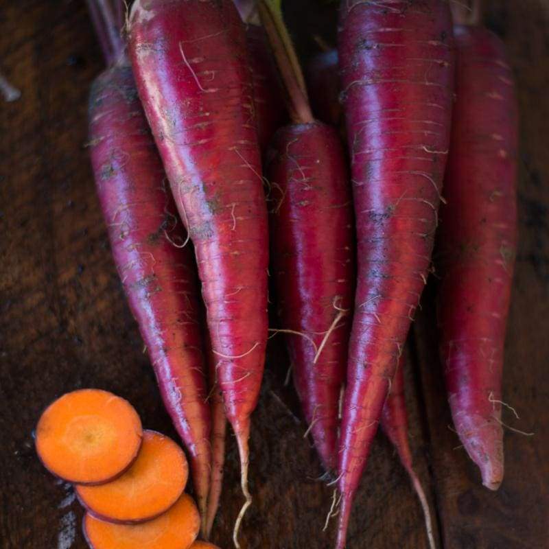 Carrot Seeds, Dragon Carrot