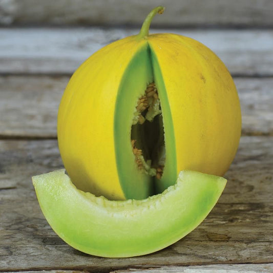 Melon, Golden Honeymoon Melon Seeds