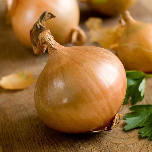 Onion, Heirloom Texas Early Grano Onion Seeds