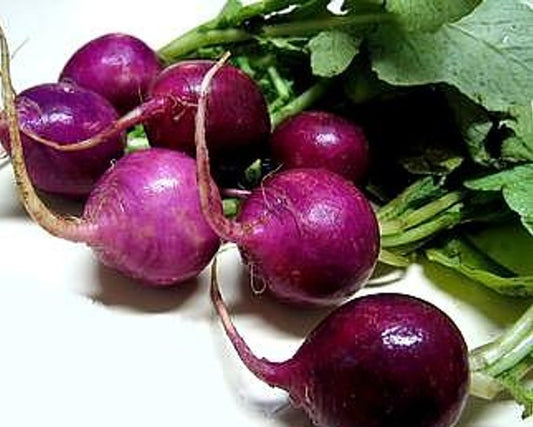 Radish, Organic Purple Plum Radish Seeds