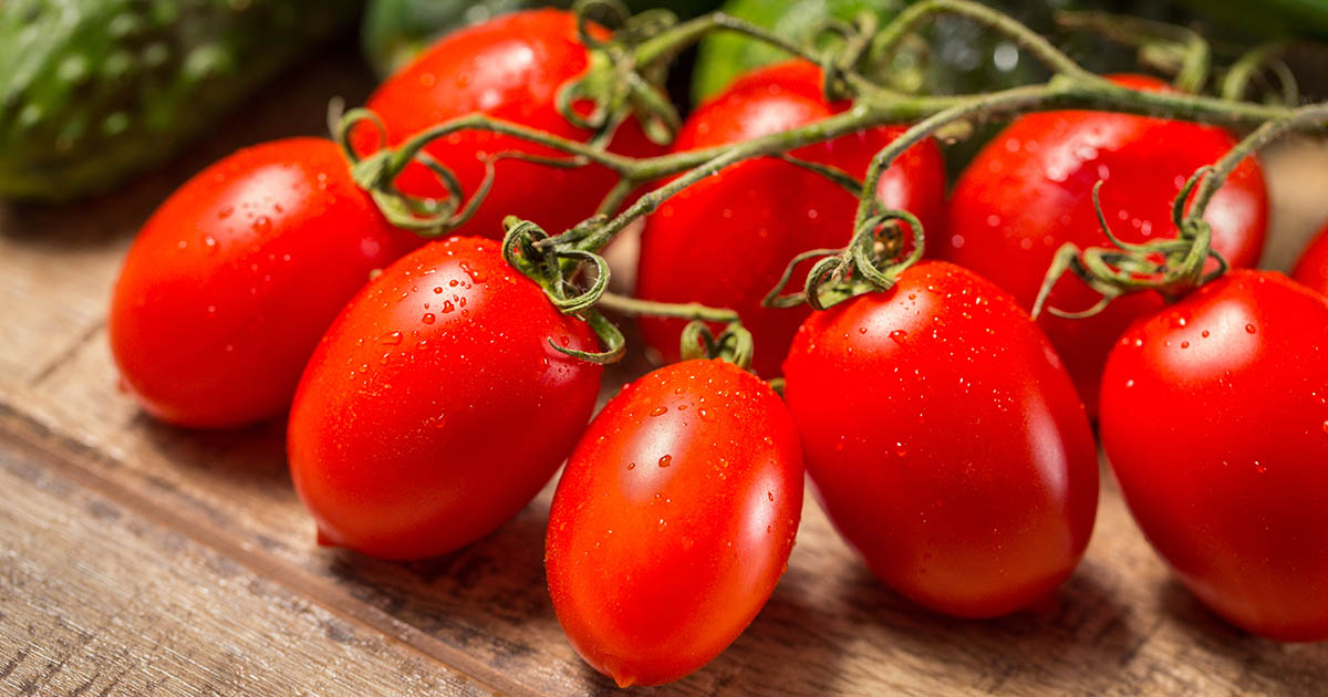 Tomato Seeds, Roma Tomato, Organic Italian Tomato