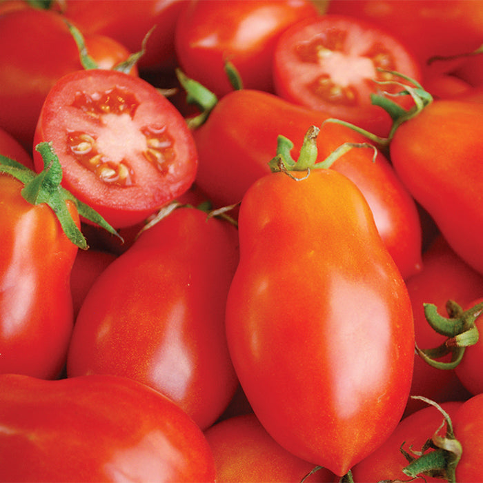 Tomato Seeds, Roma Tomato, Organic Italian Tomato