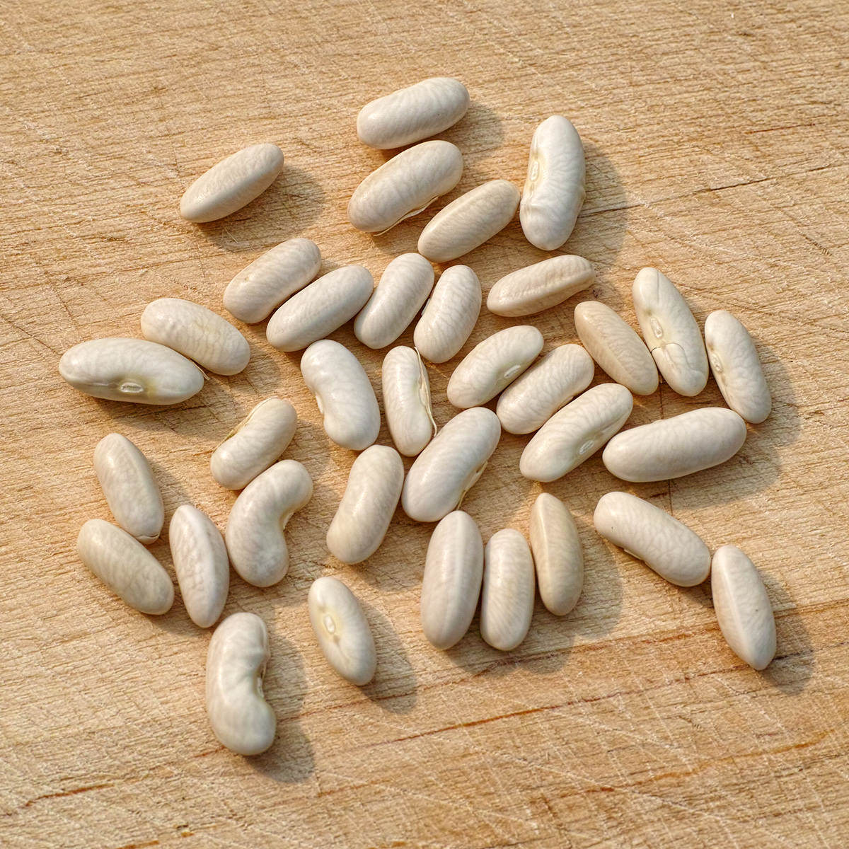 Bean, Goldrush Garden Bean Seeds