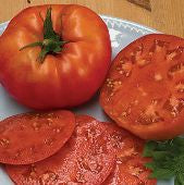 Tomato Seeds, Classic Red Beefsteak Tomato